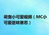 萌寵小可愛視頻（MC小可愛是啥意思）
