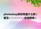photoshop序列號(hào)是什么?。ㄖ眫~~~~~~~在線等候）