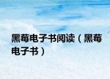 黑莓電子書閱讀（黑莓電子書）