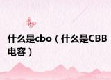 什么是cbo（什么是CBB電容）