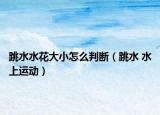 跳水水花大小怎么判斷（跳水 水上運(yùn)動(dòng)）