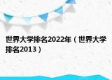 世界大學排名2022年（世界大學排名2013）