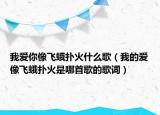 我愛你像飛蛾撲火什么歌（我的愛像飛蛾撲火是哪首歌的歌詞）