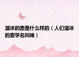 溜冰的壺是什么樣的（人們溜冰的壺學(xué)名叫啥）