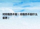 對(duì)你我傷不起（你我傷不起什么意思）
