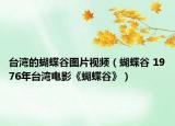 臺灣的蝴蝶谷圖片視頻（蝴蝶谷 1976年臺灣電影《蝴蝶谷》）