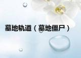 墓地軌道（墓地僵尸）