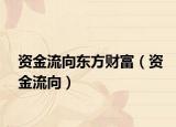 資金流向東方財(cái)富（資金流向）