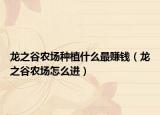 龍之谷農(nóng)場(chǎng)種植什么最賺錢（龍之谷農(nóng)場(chǎng)怎么進(jìn)）