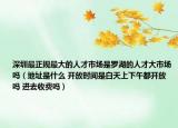 深圳最正規(guī)最大的人才市場(chǎng)是羅湖的人才大市場(chǎng)嗎（地址是什么 開放時(shí)間是白天上下午都開放嗎 進(jìn)去收費(fèi)嗎）