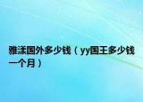 雅漾國外多少錢（yy國王多少錢一個月）