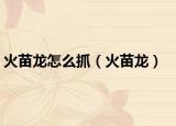 火苗龍怎么抓（火苗龍）