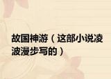 故國神游（這部小說凌波漫步寫的）