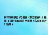 只對你有感覺 (電視劇《東方茱麗葉》插曲)（只對你有感覺 電視劇《東方茱麗葉》插曲）