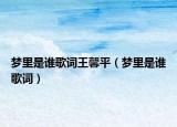 夢里是誰歌詞王馨平（夢里是誰歌詞）