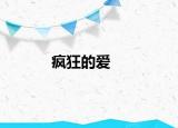 瘋狂的愛