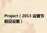 Project（2013 設(shè)置節(jié)假日設(shè)置）