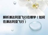解析潘達(dá)利亞飛行在哪學(xué)（如何在潘達(dá)利亞飛行）
