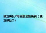 獨(dú)立縱隊(duì)2電視劇全集免費(fèi)（獨(dú)立縱隊(duì)2）