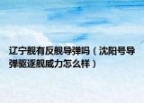 遼寧艦有反艦導(dǎo)彈嗎（沈陽號導(dǎo)彈驅(qū)逐艦威力怎么樣）