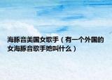 海豚音美國(guó)女歌手（有一個(gè)外國(guó)的女海豚音歌手她叫什么）