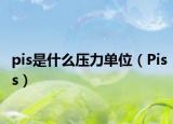 pis是什么壓力單位（Piss）