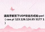 請高手解答下UDP攻擊方式如:perl（cao.pl 123.126.124.85 5177 1）
