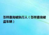 怎樣查詢被執(zhí)行人（怎樣查詢被盜車輛）