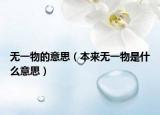 無一物的意思（本來無一物是什么意思）
