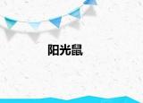 陽(yáng)光鼠