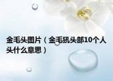 金毛頭圖片（金毛犼頭部10個(gè)人頭什么意思）