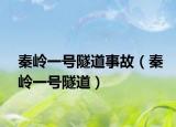 秦嶺一號隧道事故（秦嶺一號隧道）