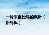 一片來自松島的楓葉（松島楓）