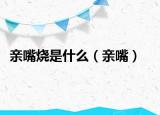親嘴燒是什么（親嘴）
