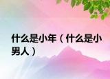 什么是小年（什么是小男人）