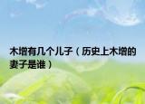 木增有幾個(gè)兒子（歷史上木增的妻子是誰(shuí)）