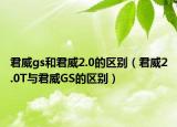 君威gs和君威2.0的區(qū)別（君威2.0T與君威GS的區(qū)別）