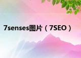 7senses圖片（7SEO）
