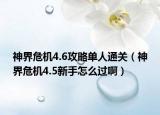 神界危機4.6攻略單人通關（神界危機4.5新手怎么過?。? /></span></a>
                        <h2><a href=