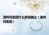 澳柯瑪集團(tuán)什么級別國企（澳柯瑪集團(tuán)）