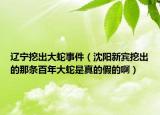 遼寧挖出大蛇事件（沈陽(yáng)新賓挖出的那條百年大蛇是真的假的?。? /></span></a>
                        <h2><a href=