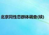 北京同性戀群體調(diào)查(續(xù))