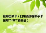 在哪里領(lǐng)卡（口袋西游的新手卡在哪個(gè)NPC領(lǐng)物品）