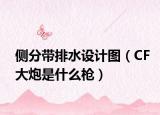 側(cè)分帶排水設(shè)計圖（CF大炮是什么槍）