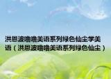 洪恩波嚕嚕美語系列綠色仙塵學(xué)美語（洪恩波嚕嚕美語系列綠色仙塵）