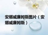 安娜威廉姆斯圖片（安娜威廉姆斯）