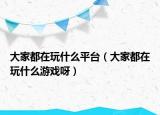 大家都在玩什么平臺(tái)（大家都在玩什么游戲呀）