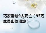 巧家滑坡9人死亡（95巧家縣山體滑坡）