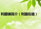 利國鎮(zhèn)簡介（利國街道）
