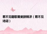 君不見朝歌屠叟辭棘津（君不見 詩詞）